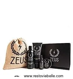 zeus deluxe beard grooming kit for men