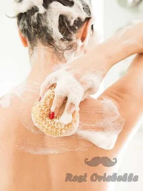 Things To Look For In The Best All Natural Body Wash