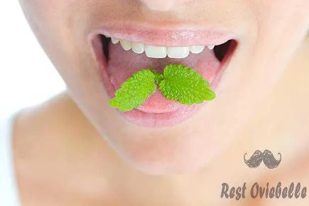 Close-up of mint leaves on a woman