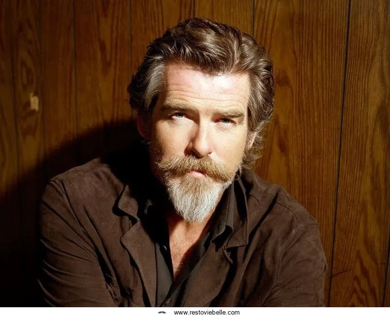 ducktail beard styles