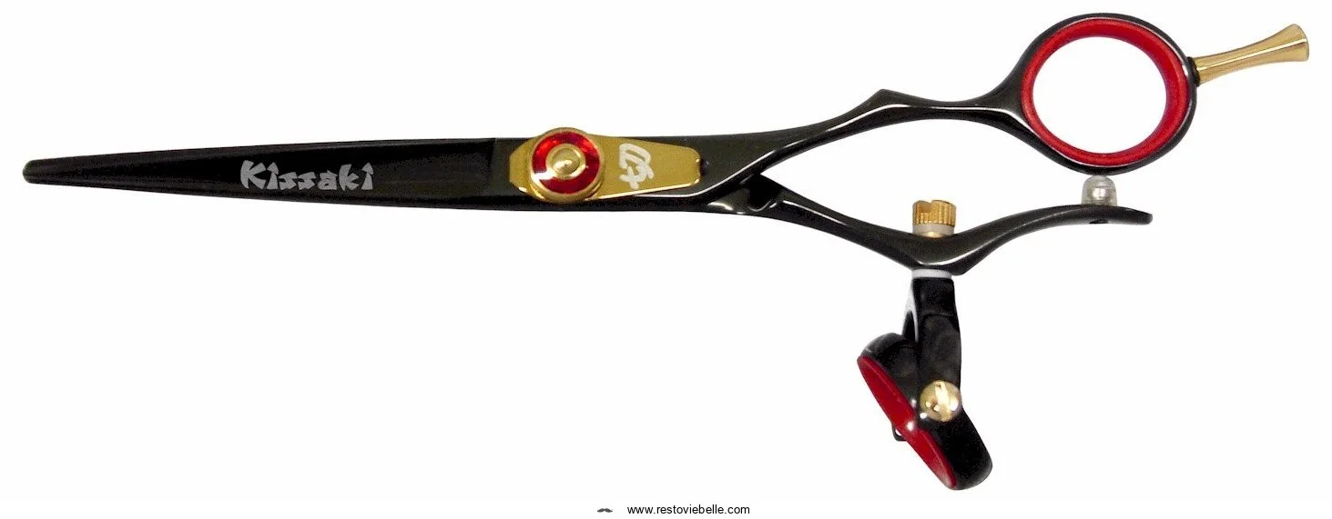 Kissaki Hair Scissors Gokatana 6.0 B006ZN06IW