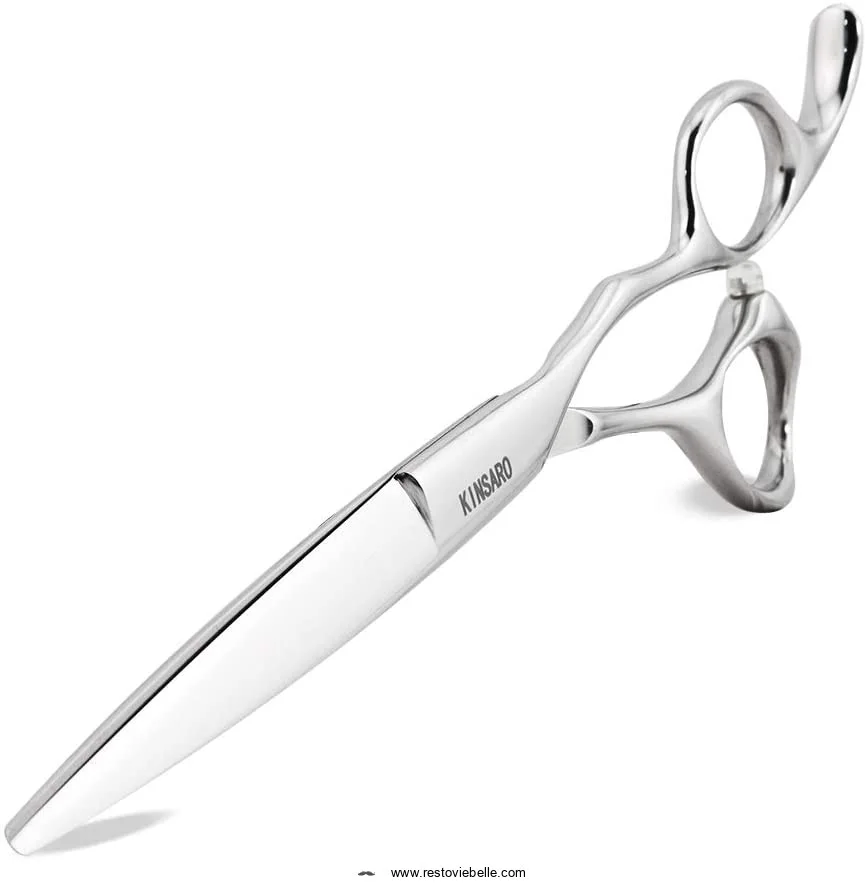 Professional Hair Shears 6 Silvery B0768VJBSW