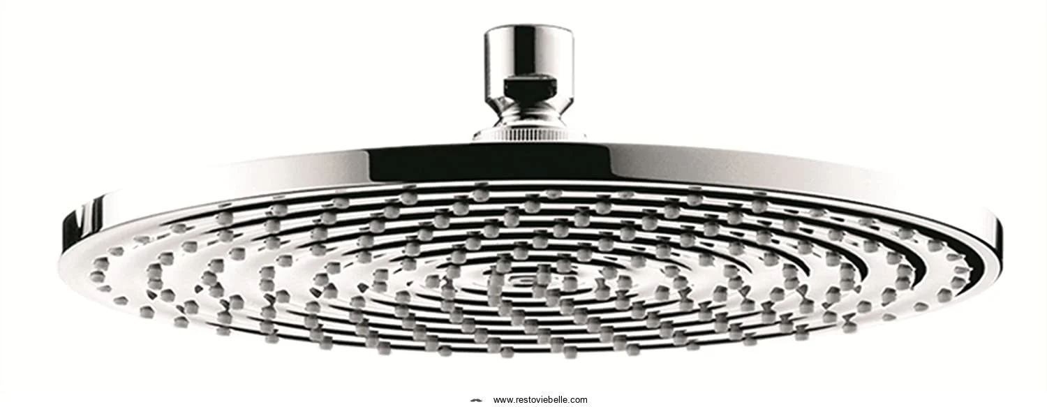 hansgrohe 27474001 Raindance Showerhead, 10,