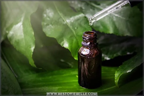 What is Tea Tree oil?