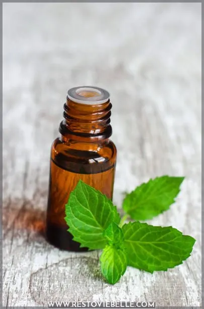 What is Peppermint Oil?