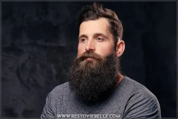 The Garibaldi beard beard style for men