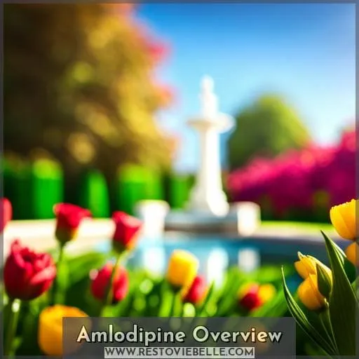 Amlodipine Overview