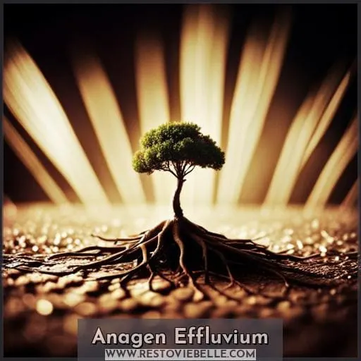 Anagen Effluvium