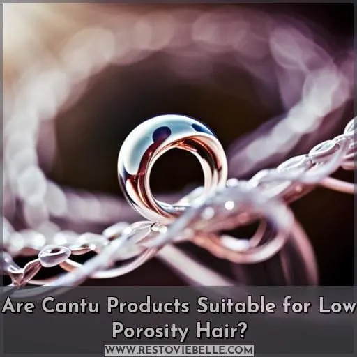 Are Cantu Products Suitable for Low Porosity Hair
