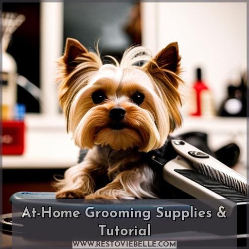 At-Home Grooming Supplies & Tutorial