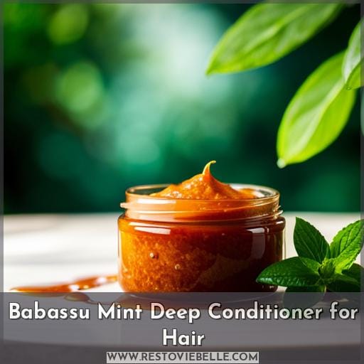 Babassu Mint Deep Conditioner for Hair