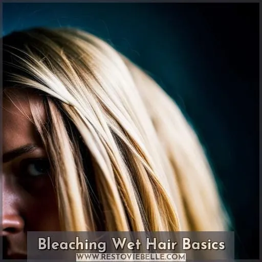 Bleaching Wet Hair Basics