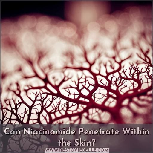 Can Niacinamide Penetrate Within the Skin