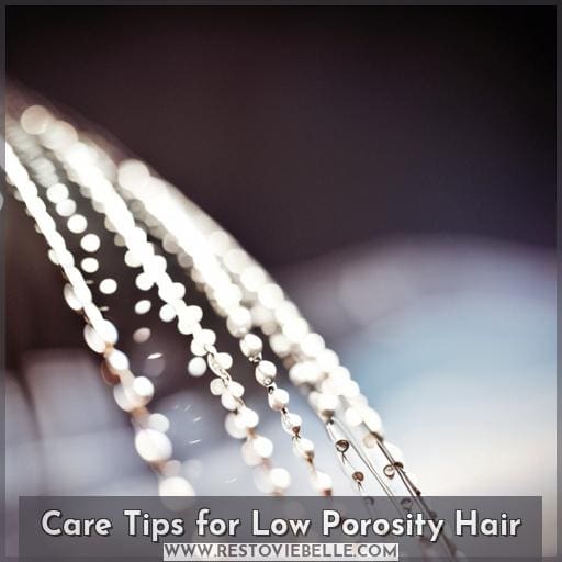 Care Tips for Low Porosity Hair