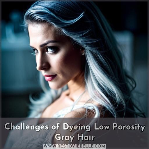 Challenges of Dyeing Low Porosity Gray Hair Challenges of Dyeing Low Porosity Gray Hair