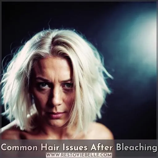 Common Hair Issues After Bleaching