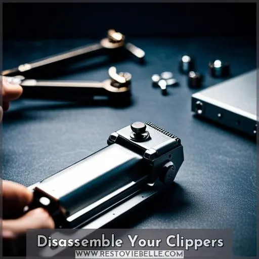Disassemble Your Clippers