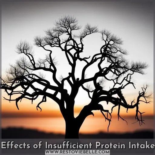 Effects of Insufficient Protein Intake