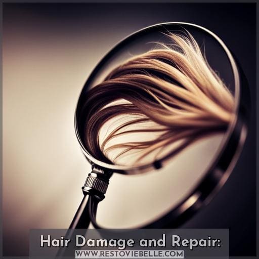 Hair Damage and Repair: