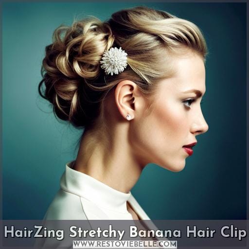 HairZing Stretchy Banana Hair Clip