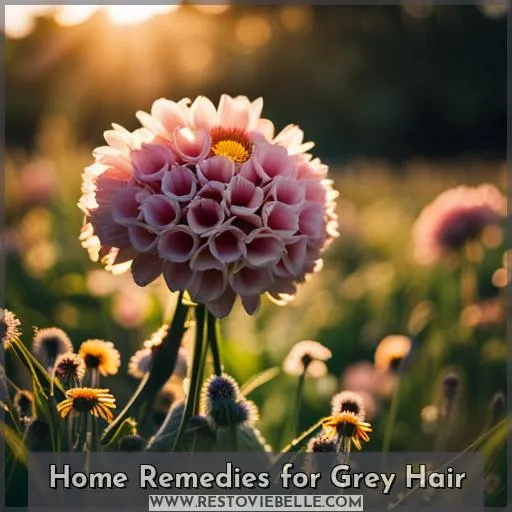 Home Remedies for Grey Hair