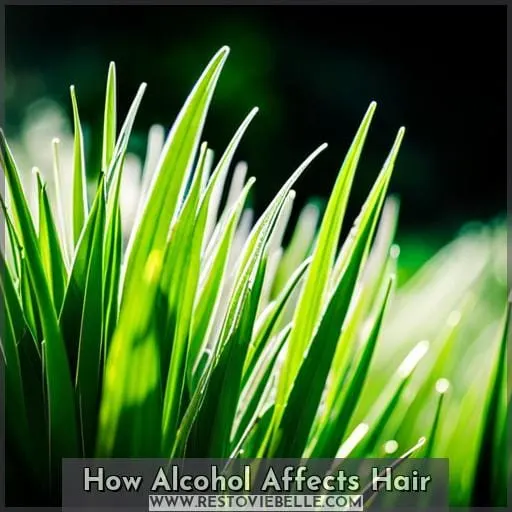 How Alcohol Affects Hair