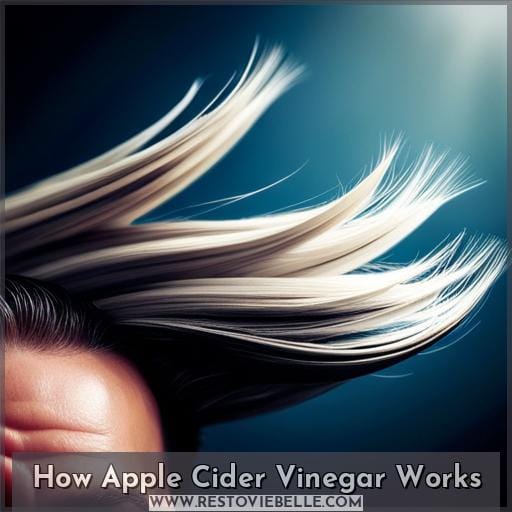 How Apple Cider Vinegar Works