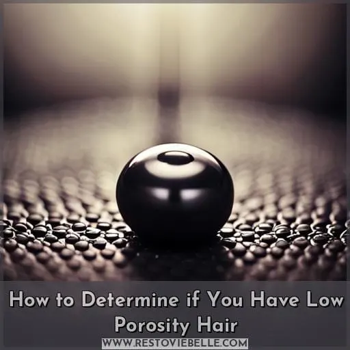 How to Determine if You Have Low Porosity Hair