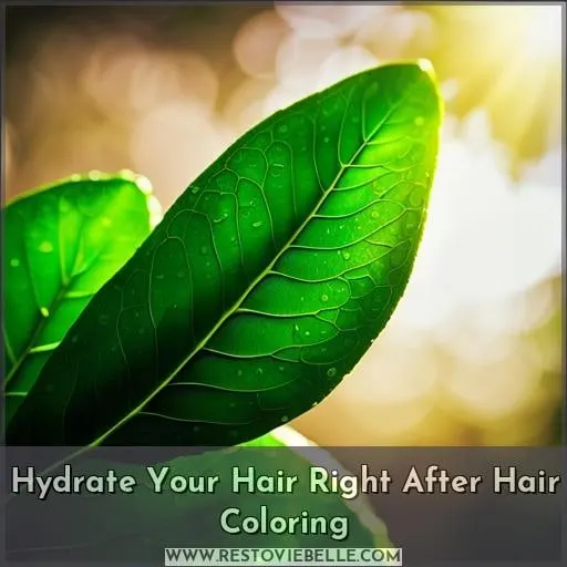 Hydrate Your Hair Right After Hair Coloring