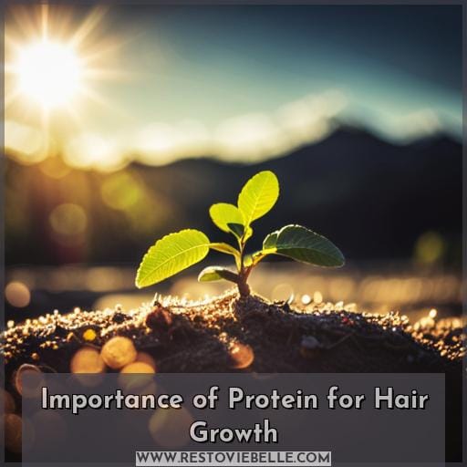 Importance of Protein for Hair Growth Importance of Protein for Hair Growth