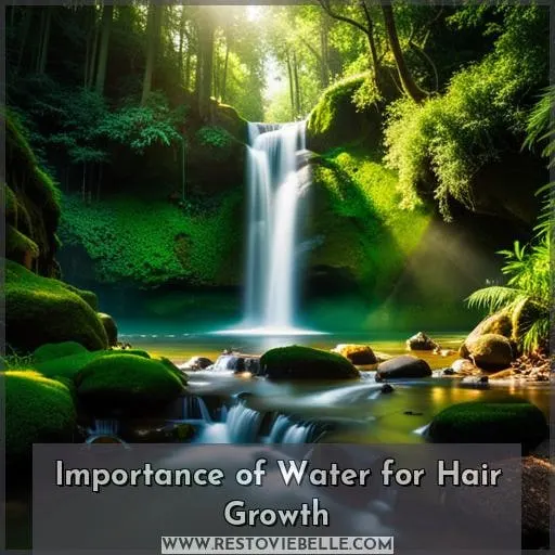 Importance of Water for Hair Growth