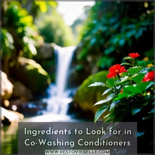Ingredients to Look for in Co-Washing Conditioners