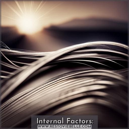 Internal Factors: