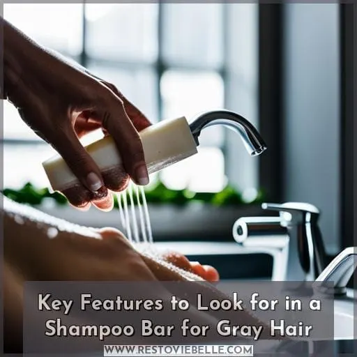 Key Features to Look for in a Shampoo Bar for Gray Hair