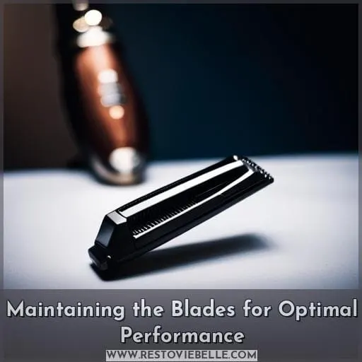 Maintaining the Blades for Optimal Performance
