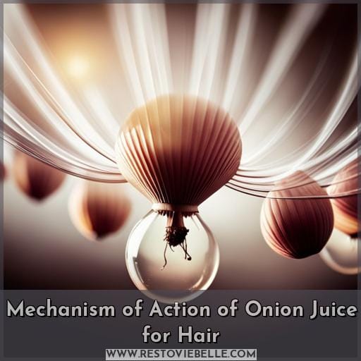 Mechanism of Action of Onion Juice for Hair