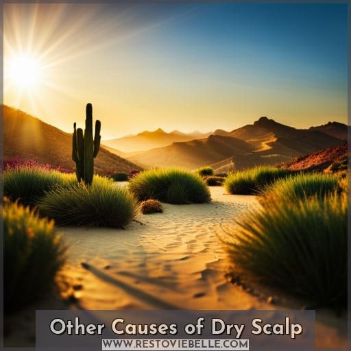 Other Causes of Dry Scalp