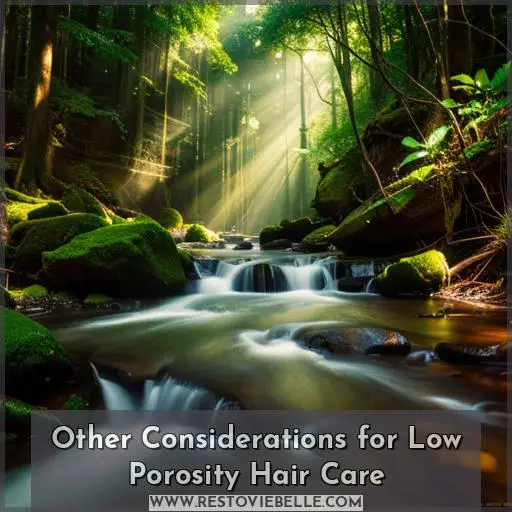 Other Considerations for Low Porosity Hair Care