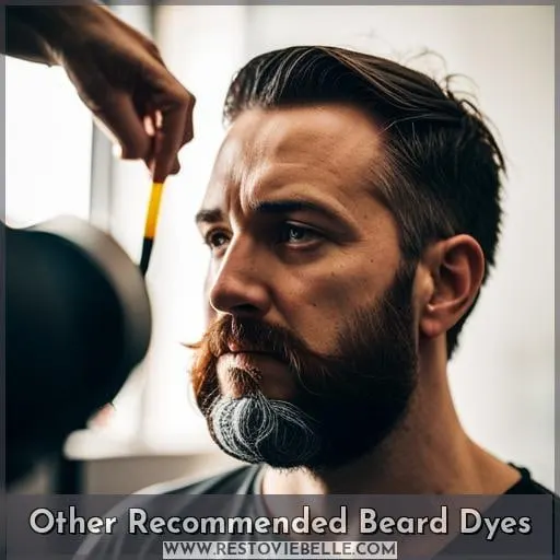 Other Recommended Beard Dyes