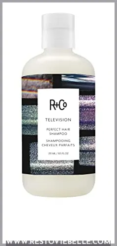 R+Co Television Perfect Hair Shampoo