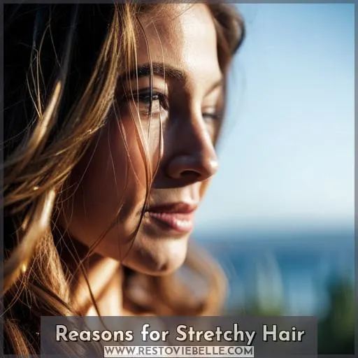 Reasons for Stretchy Hair