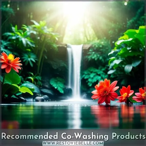 Recommended Co-Washing Products