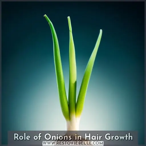 Role of Onions in Hair Growth