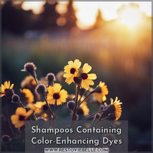 Shampoos Containing Color-Enhancing Dyes
