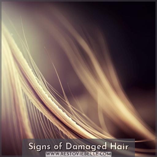 Signs of Damaged Hair
