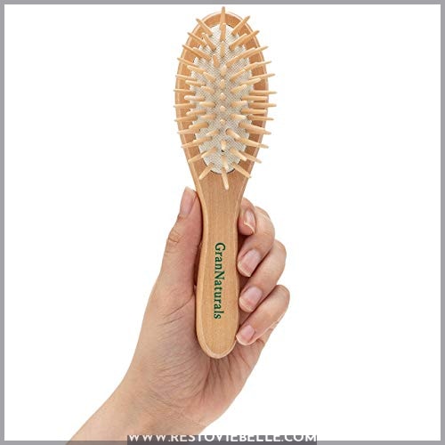 Small Hair Brush for Purse