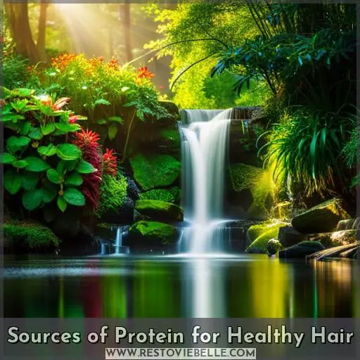 Sources of Protein for Healthy Hair