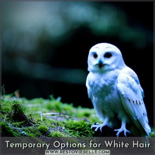 Temporary Options for White Hair