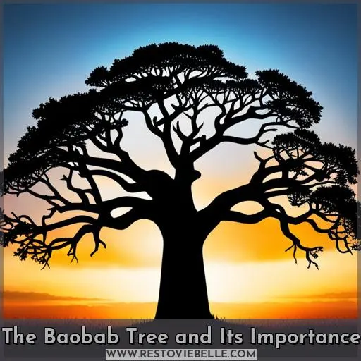 The Baobab Tree and Its Importance