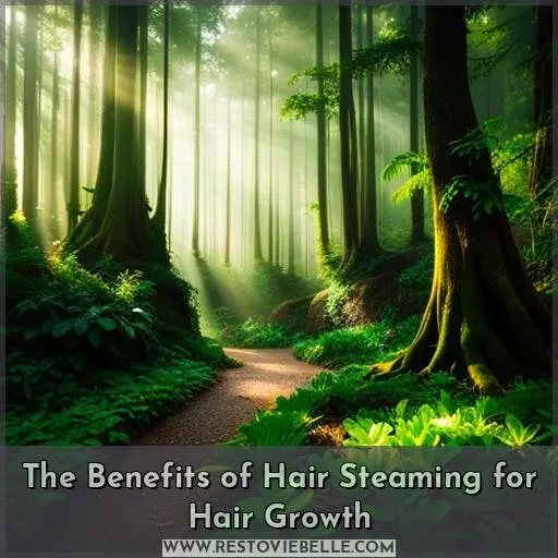 The Benefits of Hair Steaming for Hair Growth